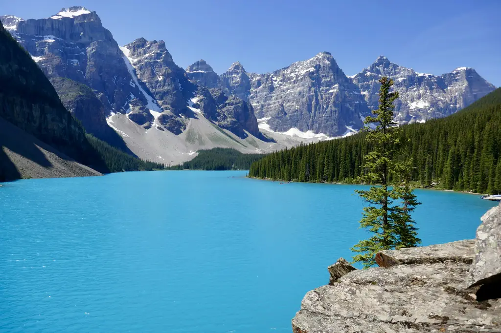 溫哥華冬季旅遊指南：漫步在白雪皚皚的奇幻仙境